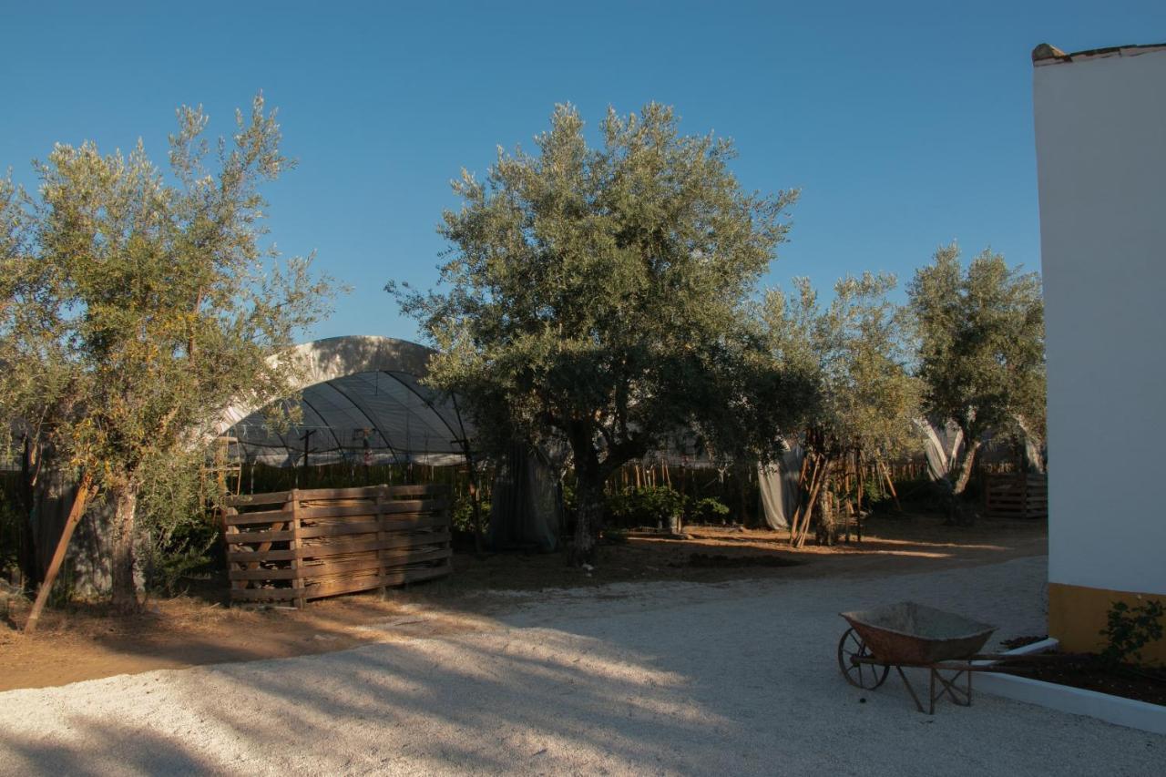 Quinta De Santana Da Varzea Абрантес Екстериор снимка