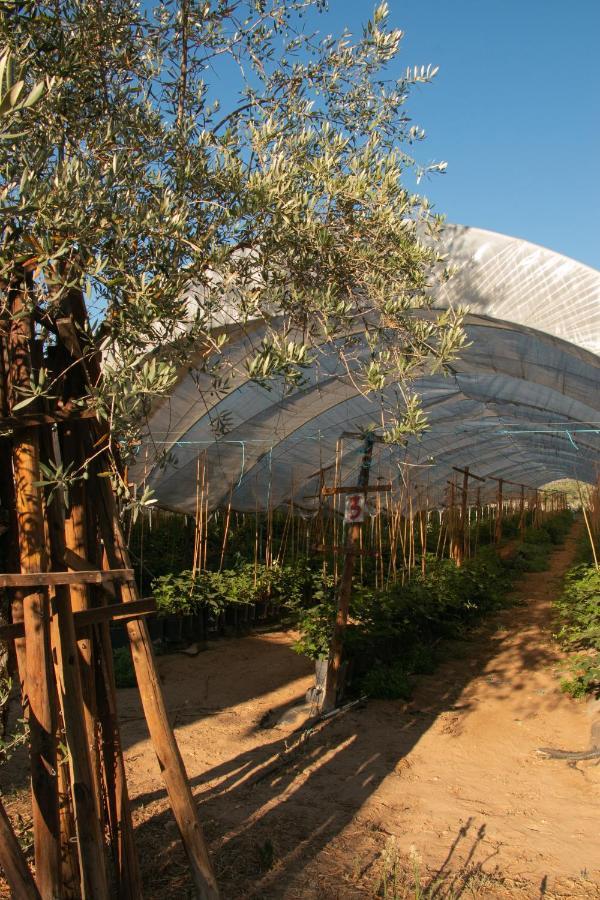 Quinta De Santana Da Varzea Абрантес Екстериор снимка