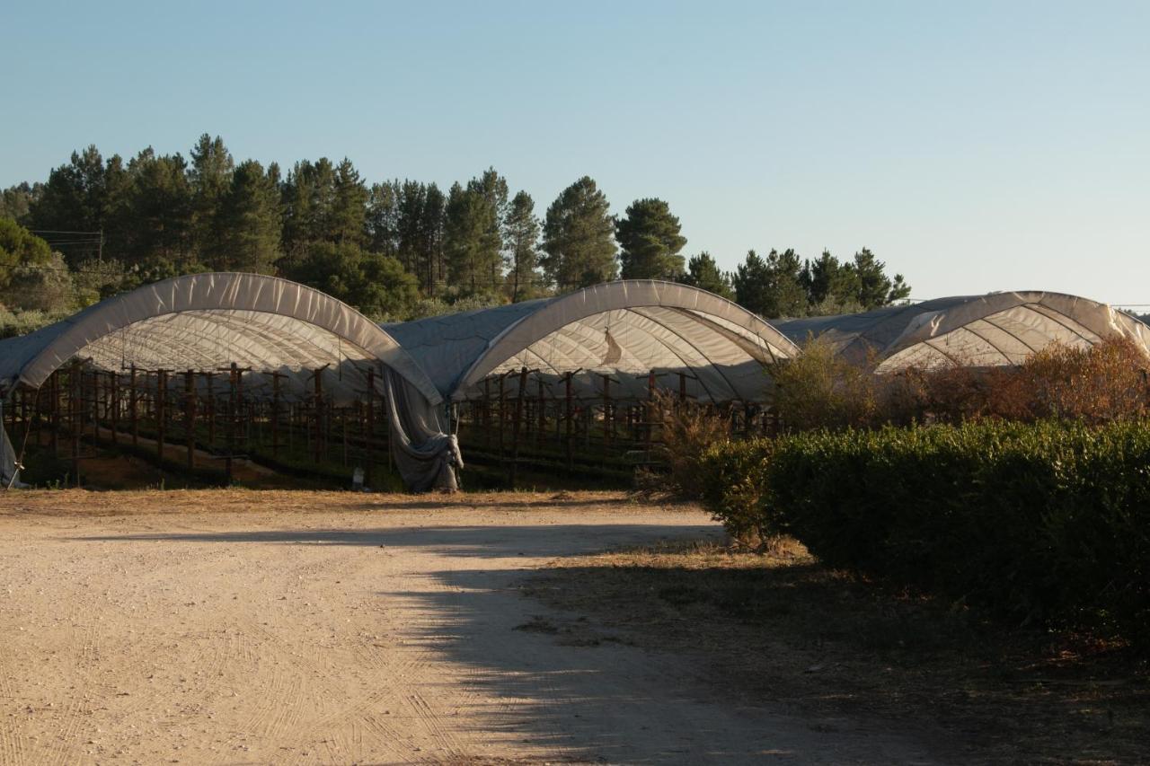 Quinta De Santana Da Varzea Абрантес Екстериор снимка