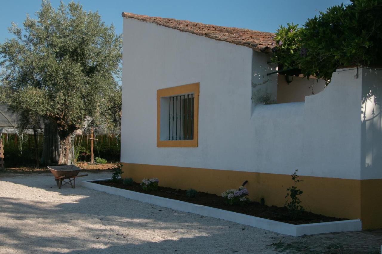 Quinta De Santana Da Varzea Абрантес Екстериор снимка