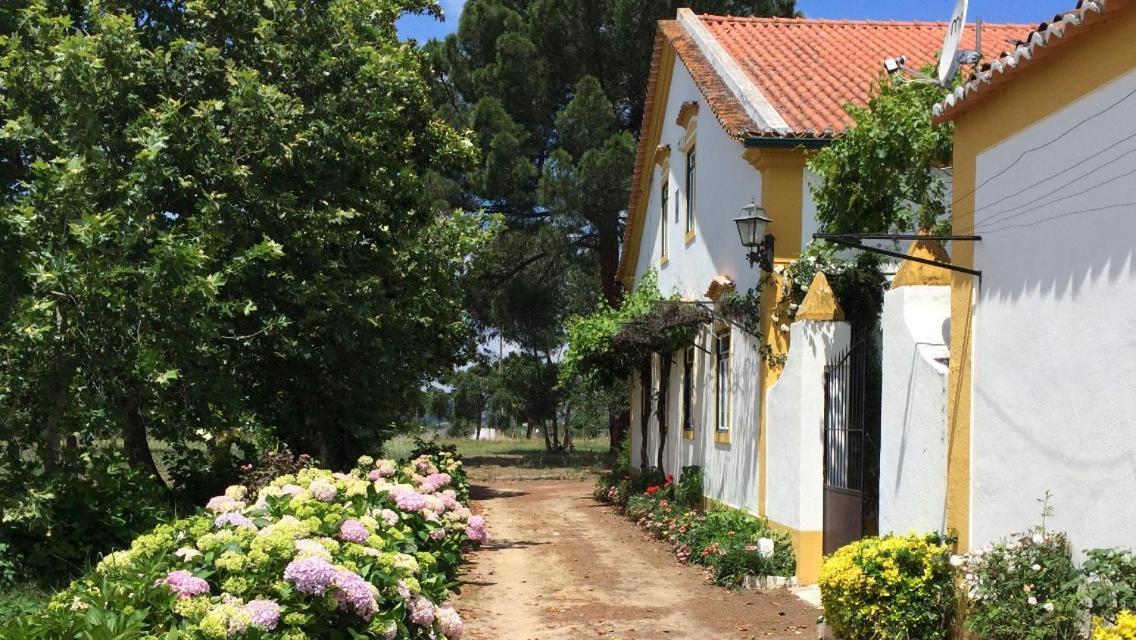 Quinta De Santana Da Varzea Абрантес Екстериор снимка
